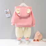 Spring & Autumn 2 Pcs Bunny T-Shirt + Pants Set for Kids - Pink & Blue Baby Shop - Review