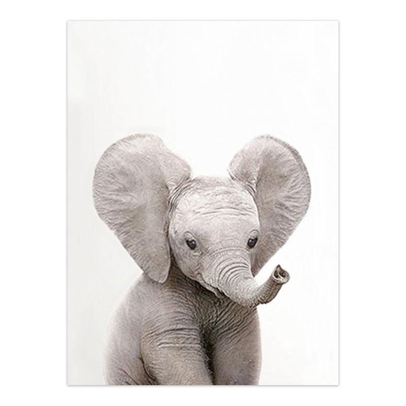 Canvas Wall Art With Baby Animals - Pink & Blue Baby Shop - Review